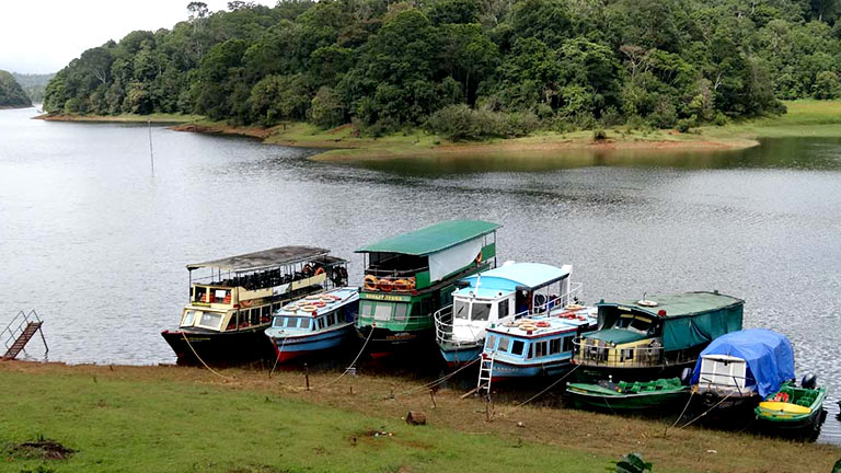 ᴛʜᴇᴋᴋᴀᴅʏ (Thekkady)