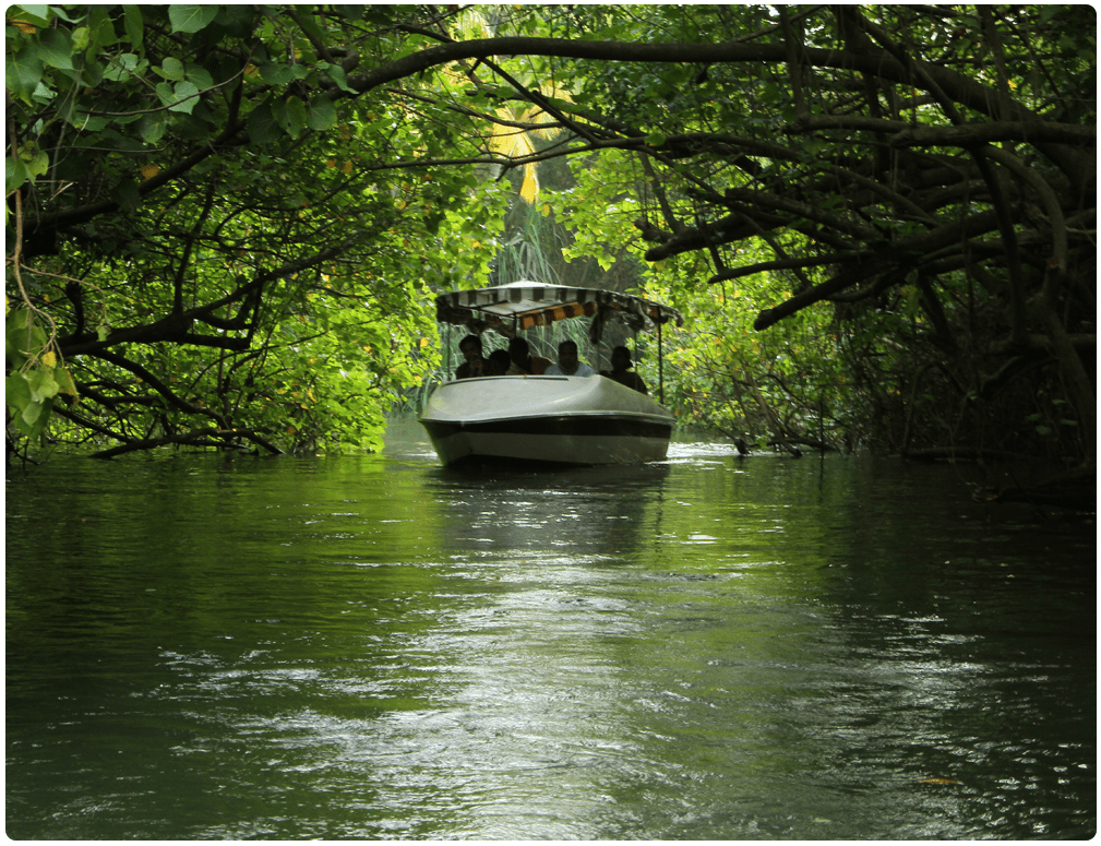 Poovar Backwaters