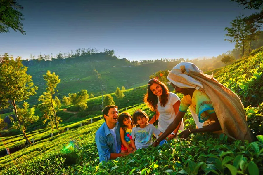 Kerala tour package with family travel experience
